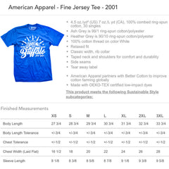 Buffalo City Flag Adult unisex t-shirt