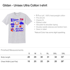 Buffalo Football Pennant collage t-shirt