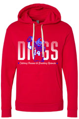 #14 DIGGS : catching passes & breaking records HOODIE