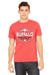 Dyngus Day Capital of the world t-shirt